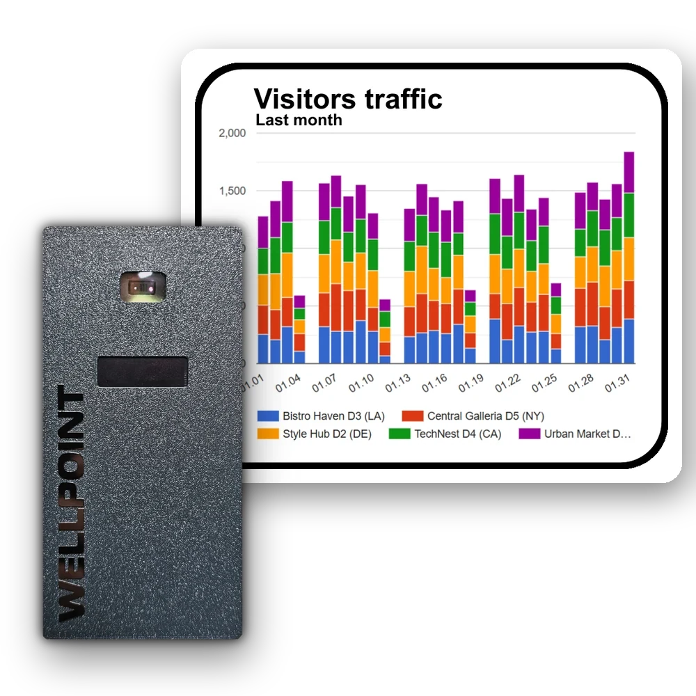 WELLPOINT People Counter Pulse V3 with a monthly visitor analytics chart